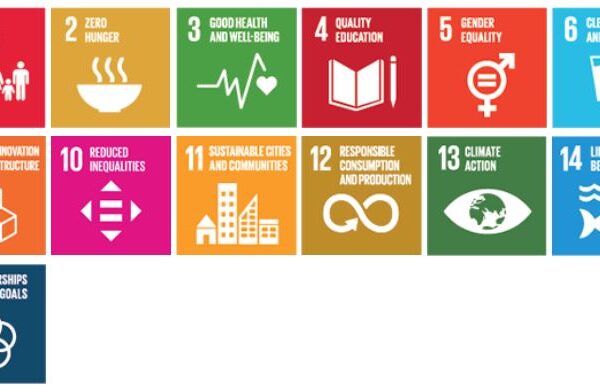 The 2030 United Nations Agenda for Sustainable Development and its 17 Sustainable Development Goals (SDGs) adopted by world leaders in 2015, embody a road-map for progress that is sustainable and leaves no one behind. We help the world achieve these goals, by introducing women to business and financing start-ups. 